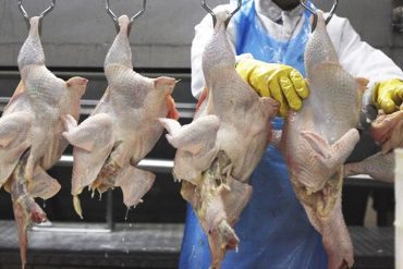 Operação Carne Fraca