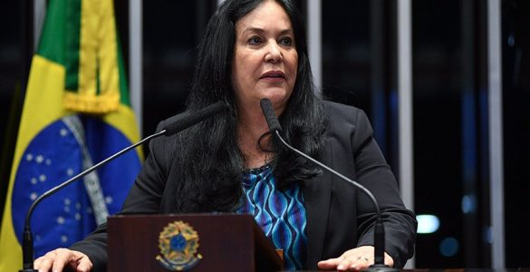 Senadora Rose de Freita